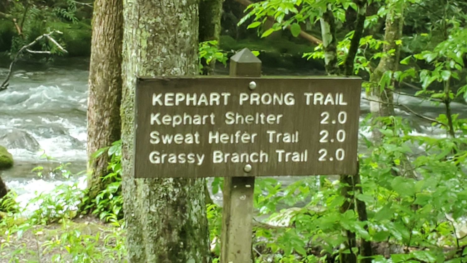 Kephart Prong Trail 